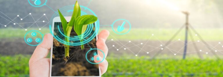 Llegará tecnología y capacitación a las chacras por medio de Silicon Misiones