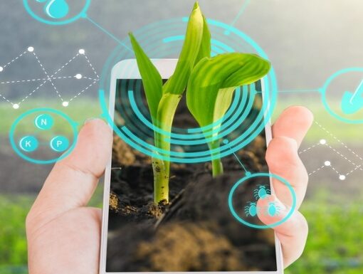 Llegará tecnología y capacitación a las chacras por medio de…