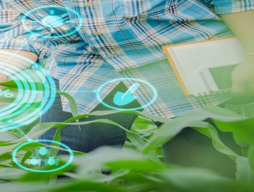 Se financiaran proyectos tecnológicos y sustentables para el agro