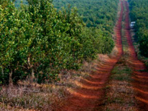 La gestión del Gobierno Provincial logró un nuevo precio de…