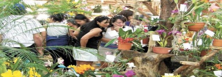 Montecarlo: ultiman detalles para la Fiesta de la Flor