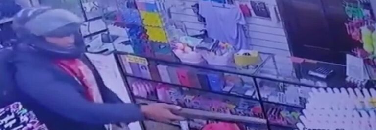 Dos ladrones ingresaron a un comercio en La Plata y apuntaron a una madre y…