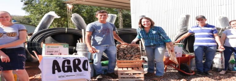 Familias tabacaleras inician cultivo de jengibre