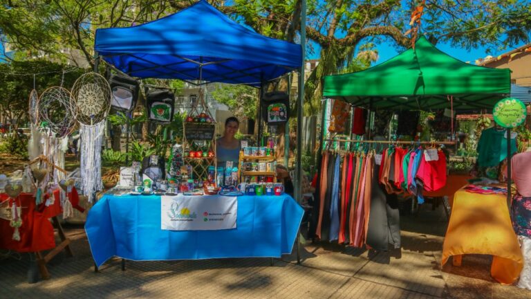 El Paseo Comercial “Posadas Siempre Linda” logró un gran movimiento económico