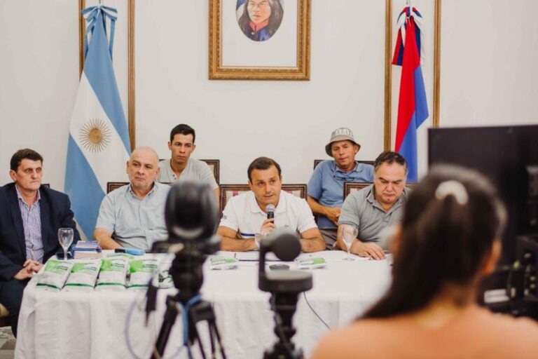 Misiones puso en marcha el plan de control de hormigas cortadoras