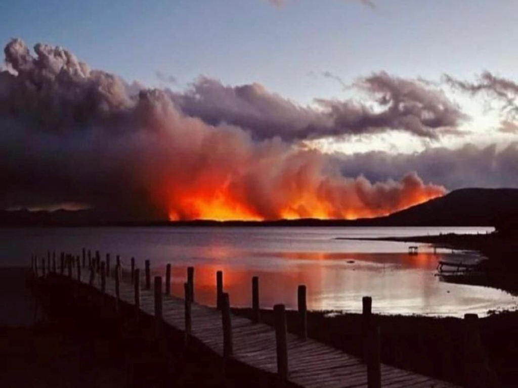 Incendios en Tierra del Fuego ya afectaron más de 9.000…