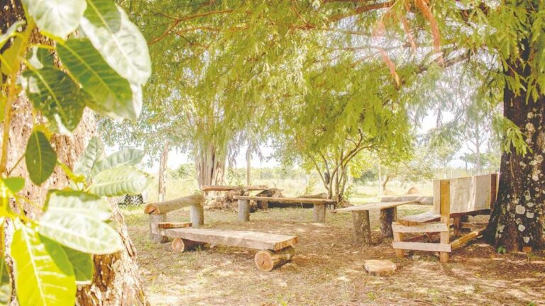 Posadas: Habilitan Parque Rural en cercanías del barrio Itaembé Guazú