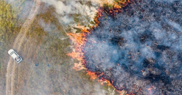 Esteros del Iberá: el Ejército se suma al combate de los incendios