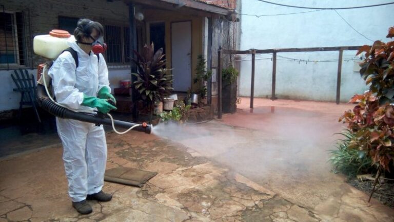 Misiones refuerza la vigilancia por la chikungunya