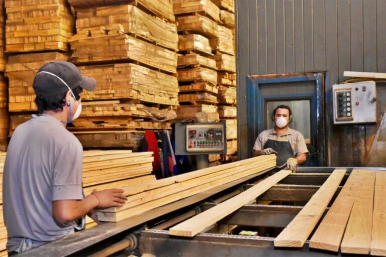 Este jueves se inaugura el Centro Tecnológico de la Madera en Salto Encantado