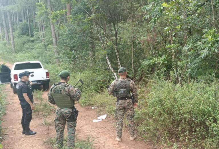 La Policía reforzó la seguridad en la zona norte