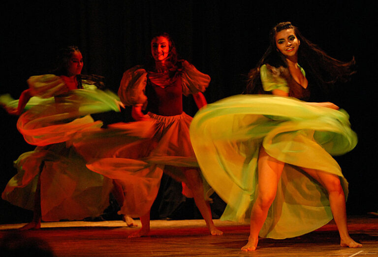 Misiones avanza en el registro provincial de trabajadores de la Danza