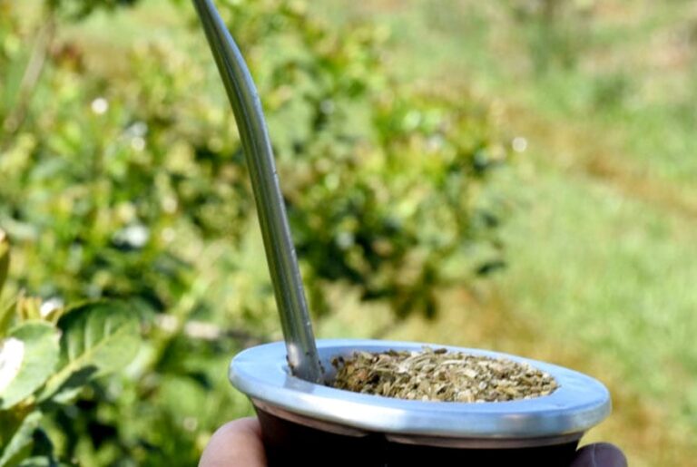 La madera y el tabaco ya entraron al dólar agro, el té se incorporaría mañana…