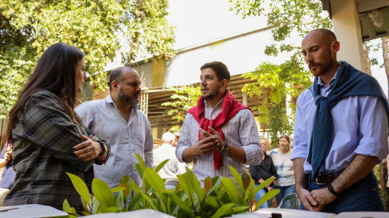 Entregarán 150 mil plantines de yerba mate a productores