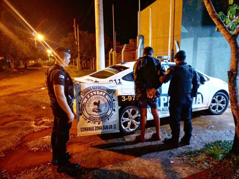 Operativos en la provincia: varios detenidos y elementos robados recuperados