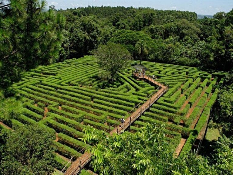 Repararán el laberinto vegetal pero no abrirá este año