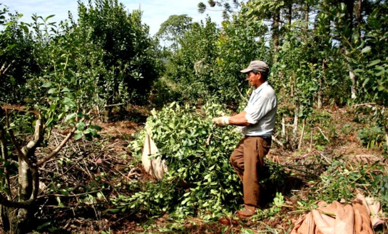 Misiones | Acordaron un aumento del 60 % para peones rurales