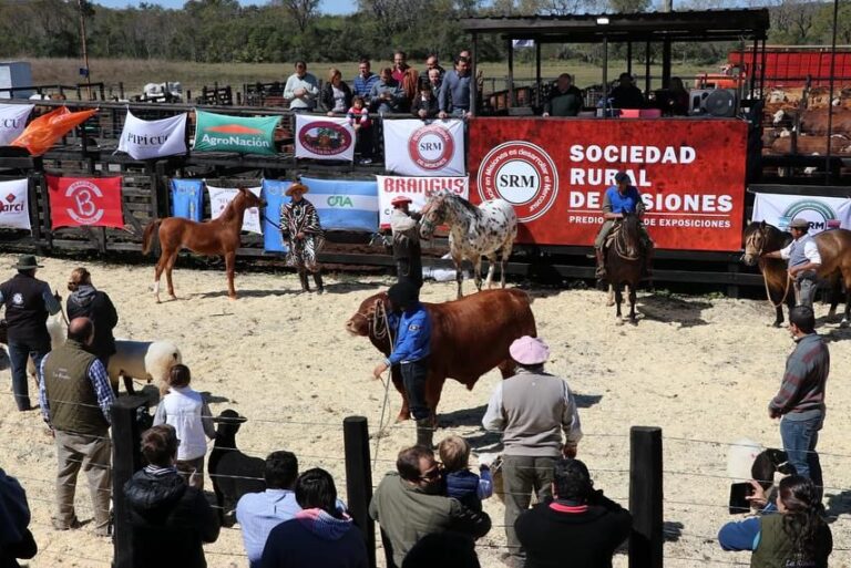 La Rural de Misiones se prepara para su exposición anual: será del 4 al 6…