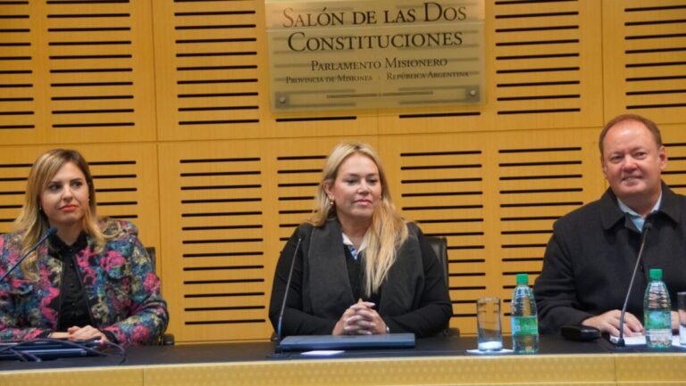 Legislatura: realizaron una nueva jornada de capacitación sobre la Ley Micaela