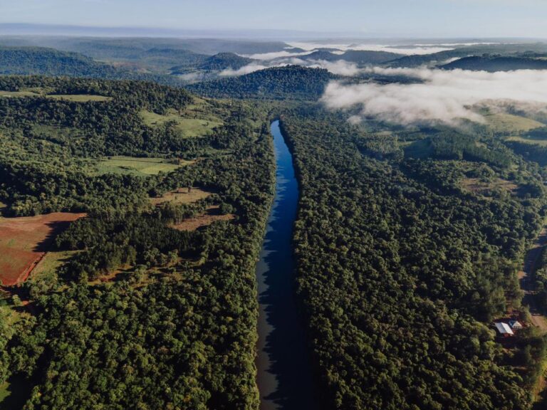 El Parlamento Misionero aprobó leyes orientadas al cuidado ambiental y la fauna de la provincia