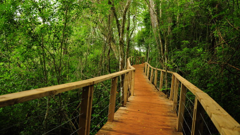 El receso invernal dejó un impacto económico superior a los $10.595 millones en la segunda…