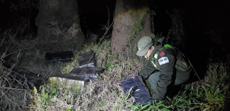 Montecarlo: secuestraron marihuana valuada en casi 64 millones de pesos se encontraba oculta en un…