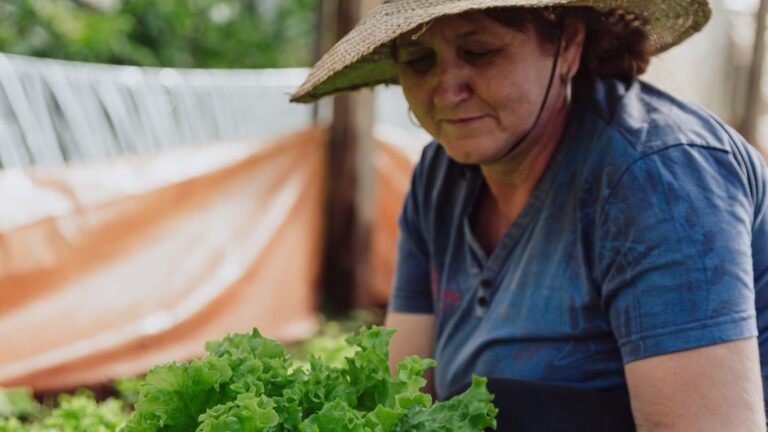 El Agro apunta a la protección del productor y el fomento de las biotecnologías