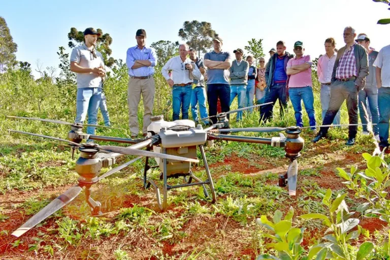 Productores yerbateros empezaron a utilizar drones para fumigación: afirman que reducen tiempos de trabajo y…