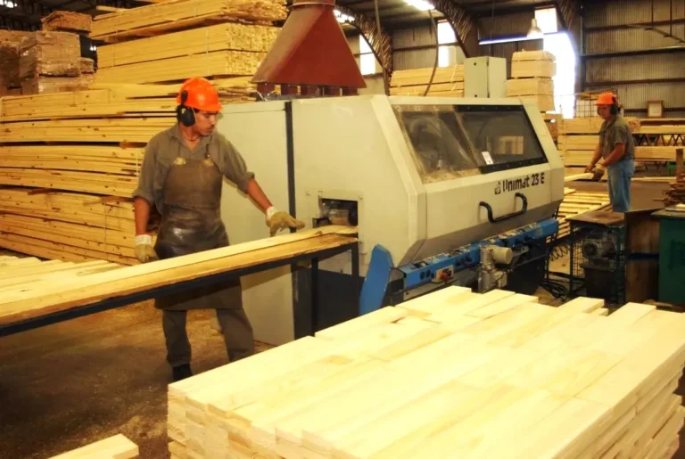 Empresa forestal de Eldorado apuesta a la energía renovable y generar más puestos de trabajo