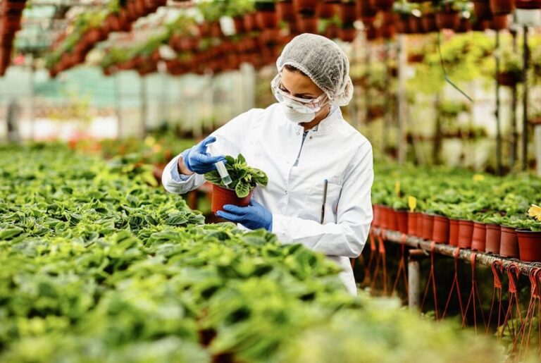 Posadas será sede de la 1° Cumbre de Agricultura Sostenible del Mercosur