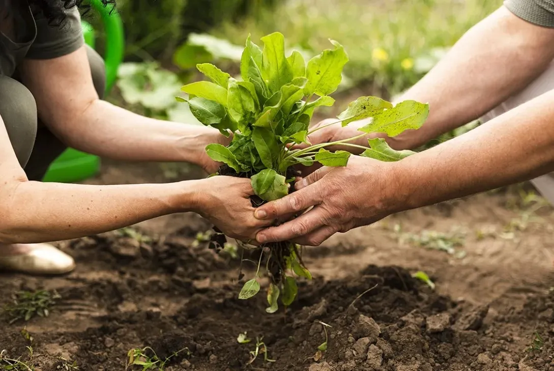 Posadas, sede de la primera Cumbre de Agricultura Sostenible del…