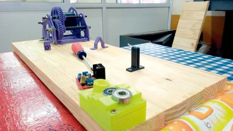 Alumnos de Puerto Esperanza realizan prótesis para animales