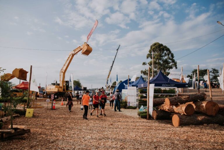 Fiesta de la Madera: las reservas siguen en aumento y se sumaron hospedajes temporales
