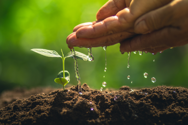 Apuestan a incrementar la agricultura orgánica en todo el territorio provincial