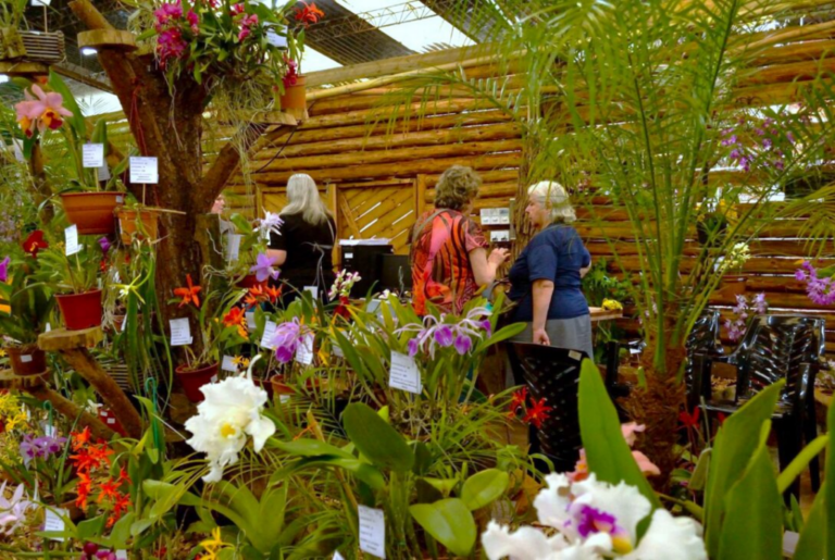 La Fiesta Nacional de la Orquídea y Provincial de la Flor arranca en Montecarlo