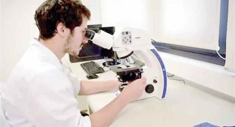 Arrancó la semana de la ciencia en Puerto Iguazú