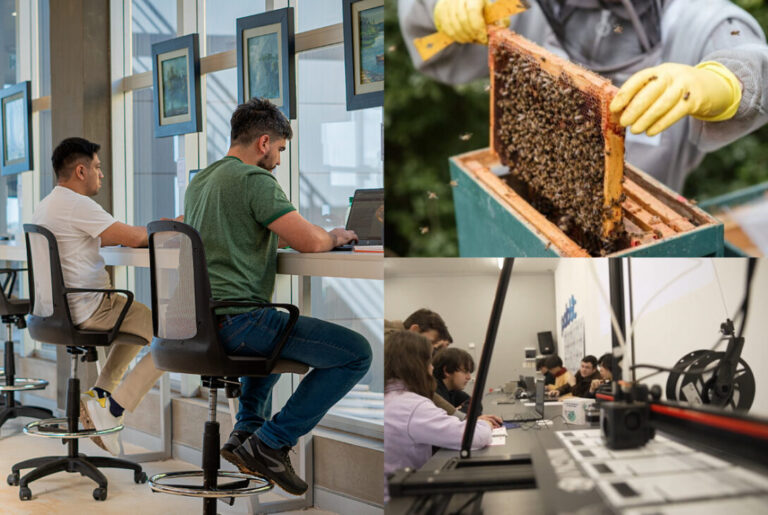 I+D+i, la rama del Silicon que aplica tecnología para resolver problemas locales