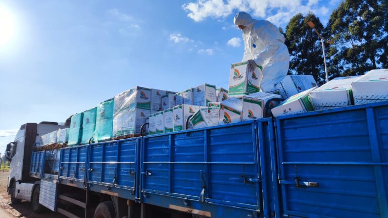 Gendarmería incautó agroquímicos de un transporte de cargas ilegal San Vicente