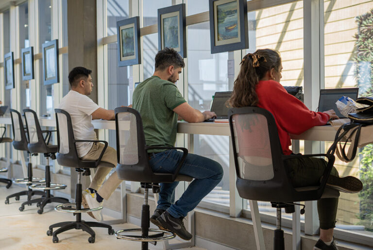 Silicon Misiones proyecta un crecimiento exponencial de capacitaciones para 2024