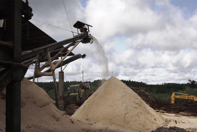 El uso de biomasa para energía impulsa el desarrollo foresto industrial