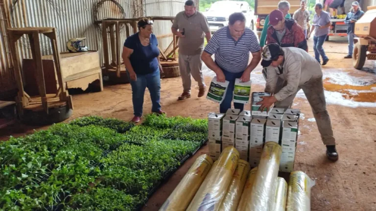 Misiones entregó subsidios de 100 mil pesos e insumos a 700 productores tabacaleros afectados por…