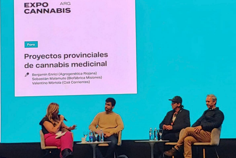 Expo Cannabis 2023: Misiones lidera la producción de aceite medicinal en el NEA