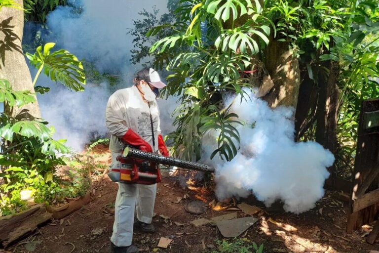 Misiones avanza con un plan integral para la lucha contra el dengue