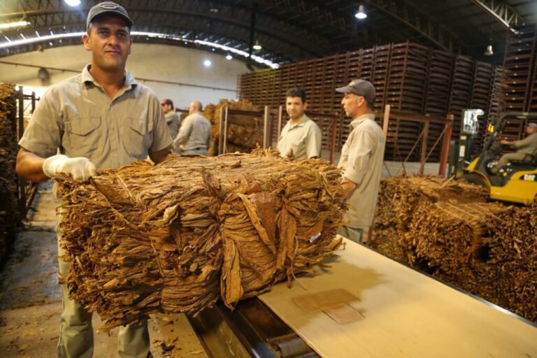 Tras el firme reclamo de Innovación Federal habrá retenciones cero para el tabaco