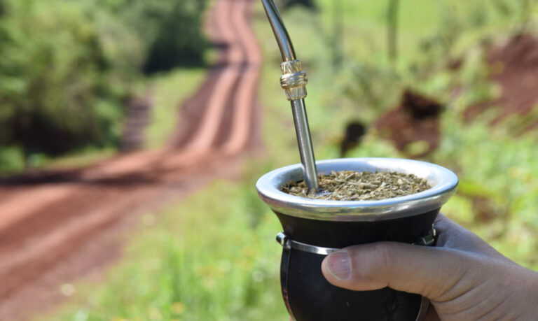 En enero, el consumo interno y las exportaciones de Yerba Mate superaron las ventas de…