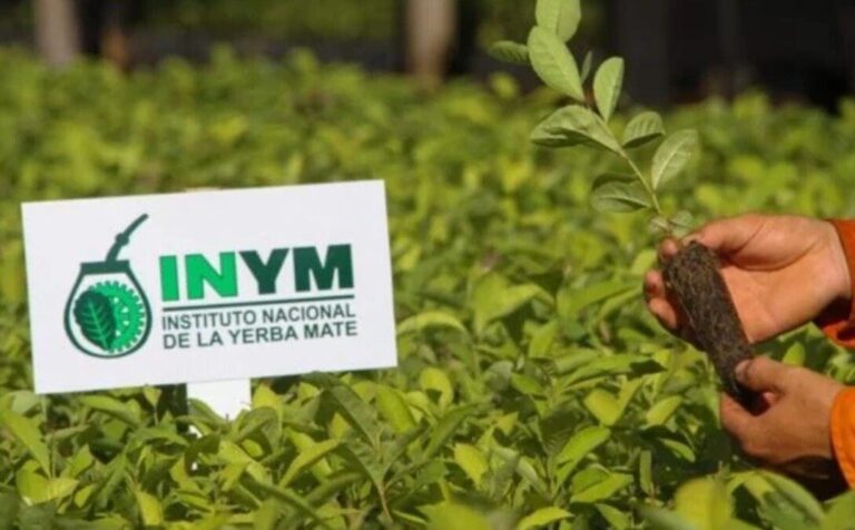 Misiones no avala la designación de Notta en el Inym: “Tenemos una mirada muy distinta…