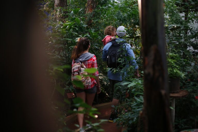 Caminatas guiadas en el Parque Moconá, una oportunidad única para conectar con la naturaleza