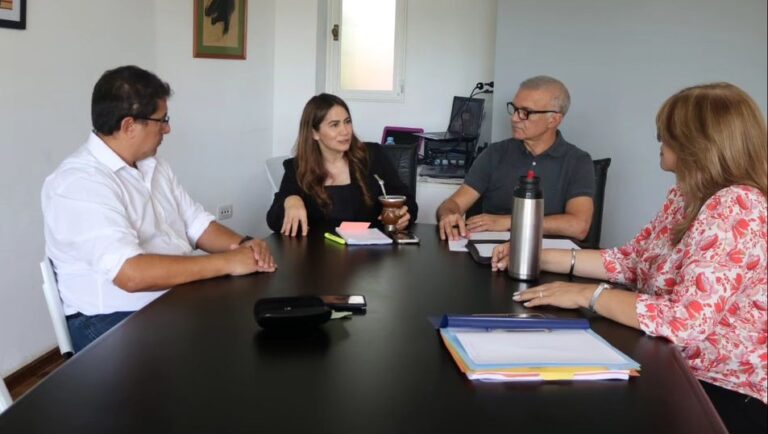 Salud, tecnología y educación: los principales ejes de la agenda legislativa estratégica de Misiones