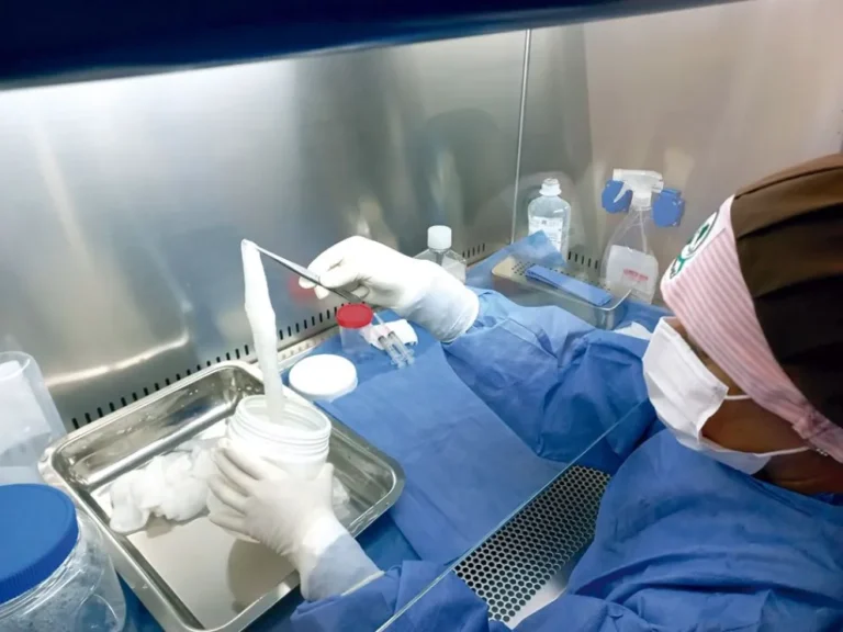 Producen en Misiones parches para quemaduras a partir de placentas