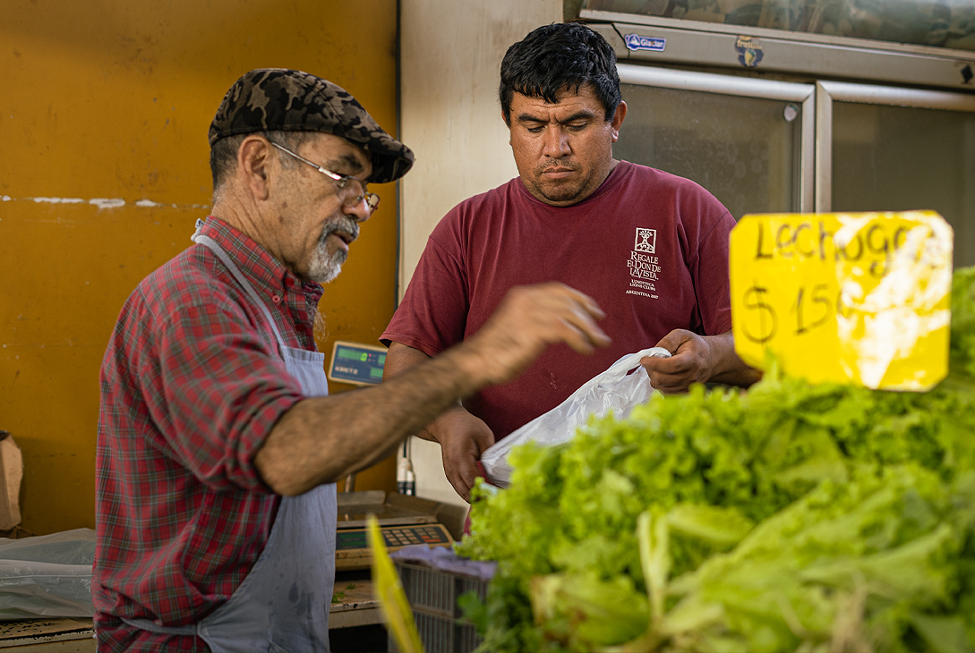 Los Mercados Concentradores de Posadas, Oberá y Eldorado con precios…